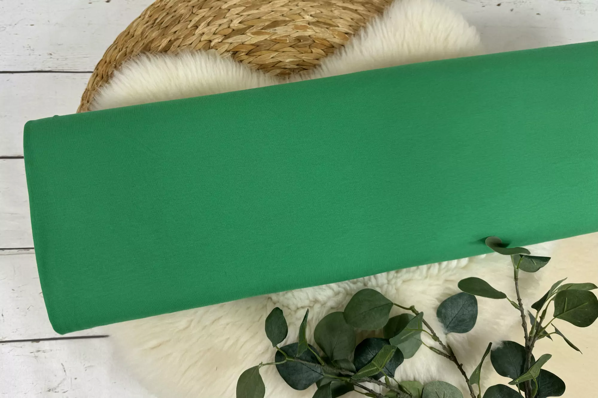 Jersey Stoff Öko-Tex-100 - Uni grün und mint Töne (verschiedene Farben) – Bild 8