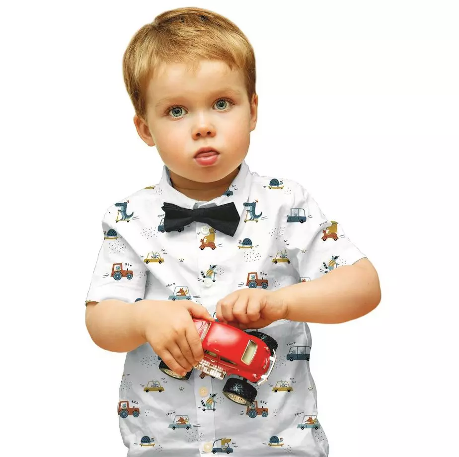 Tragebild Baumwollstoff Popelin Kinderstoff mit Tieren im auto